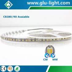 3 év garancia 2 in 1 W/WW 3527 Dual Color Led Srip, 24V 120 Leds/m 3527 CCT Állítható Led szalag
